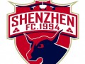 深圳市足球俱乐部（1994-2024）职业联赛历史成绩