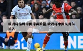 欧洲杯推荐中国球员数量,欧洲杯中国队目前排名