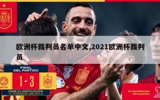 欧洲杯裁判员名单中文,2021欧洲杯裁判员