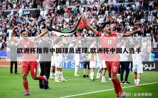 欧洲杯推荐中国球员进球,欧洲杯中国人选手
