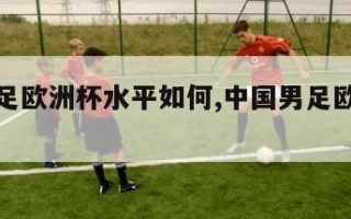 中国男足欧洲杯水平如何,中国男足欧洲杯排名